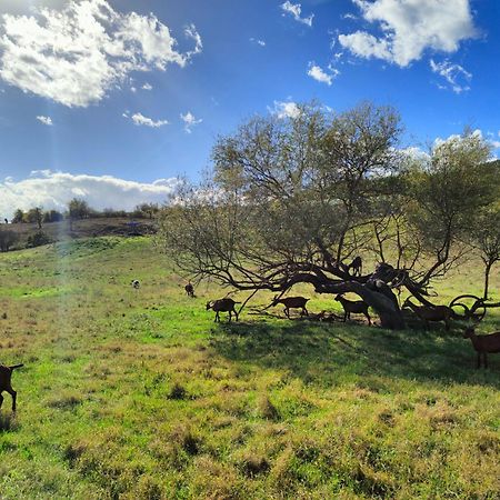 Agriturismo Podere Le Fornaci Greve in Chianti Kültér fotó